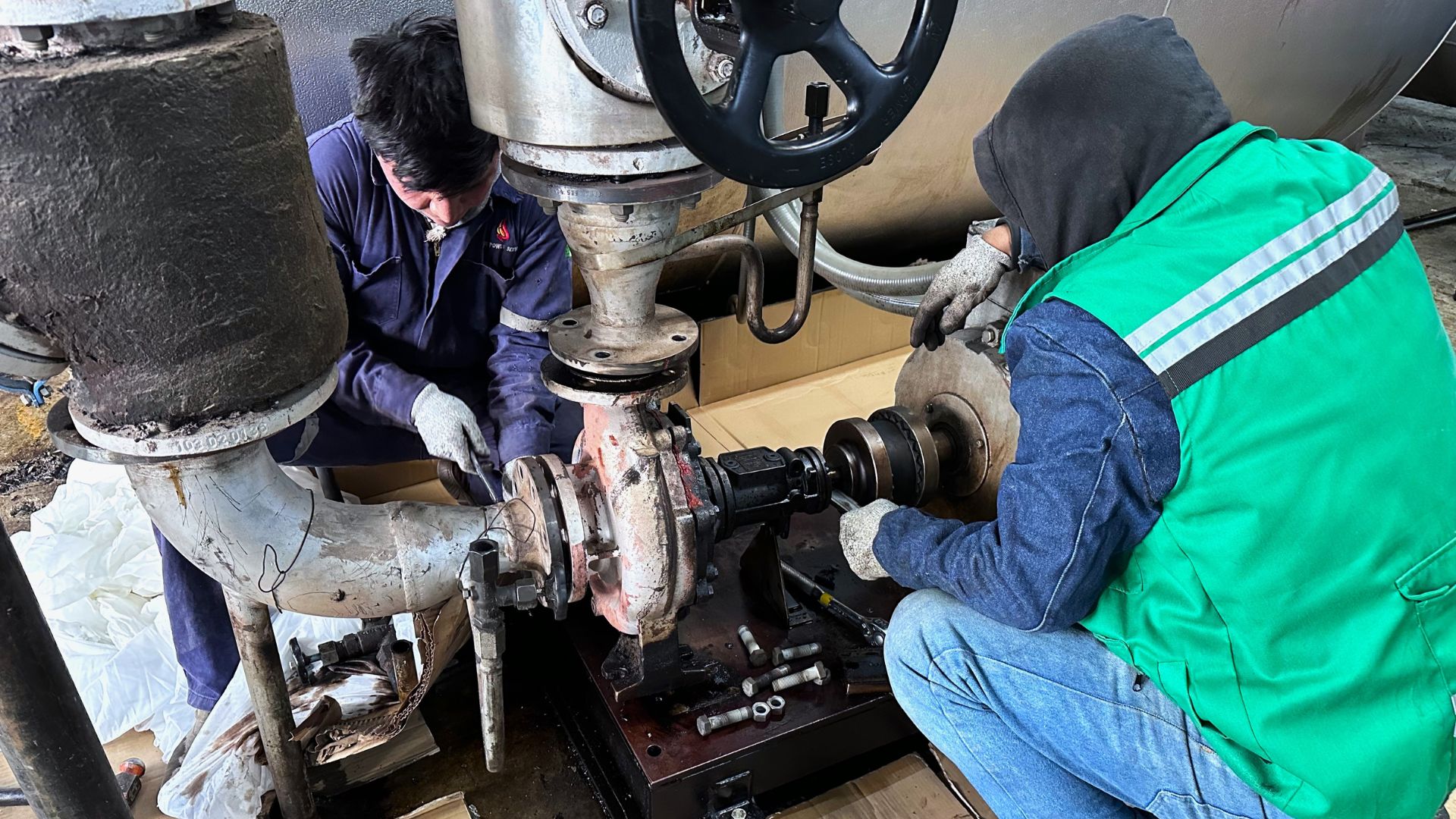 servicios i-Alineación láser